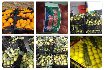 Naefruits productos ecologicos españa
