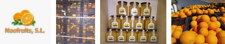 naefruits venta frutas al por mayor